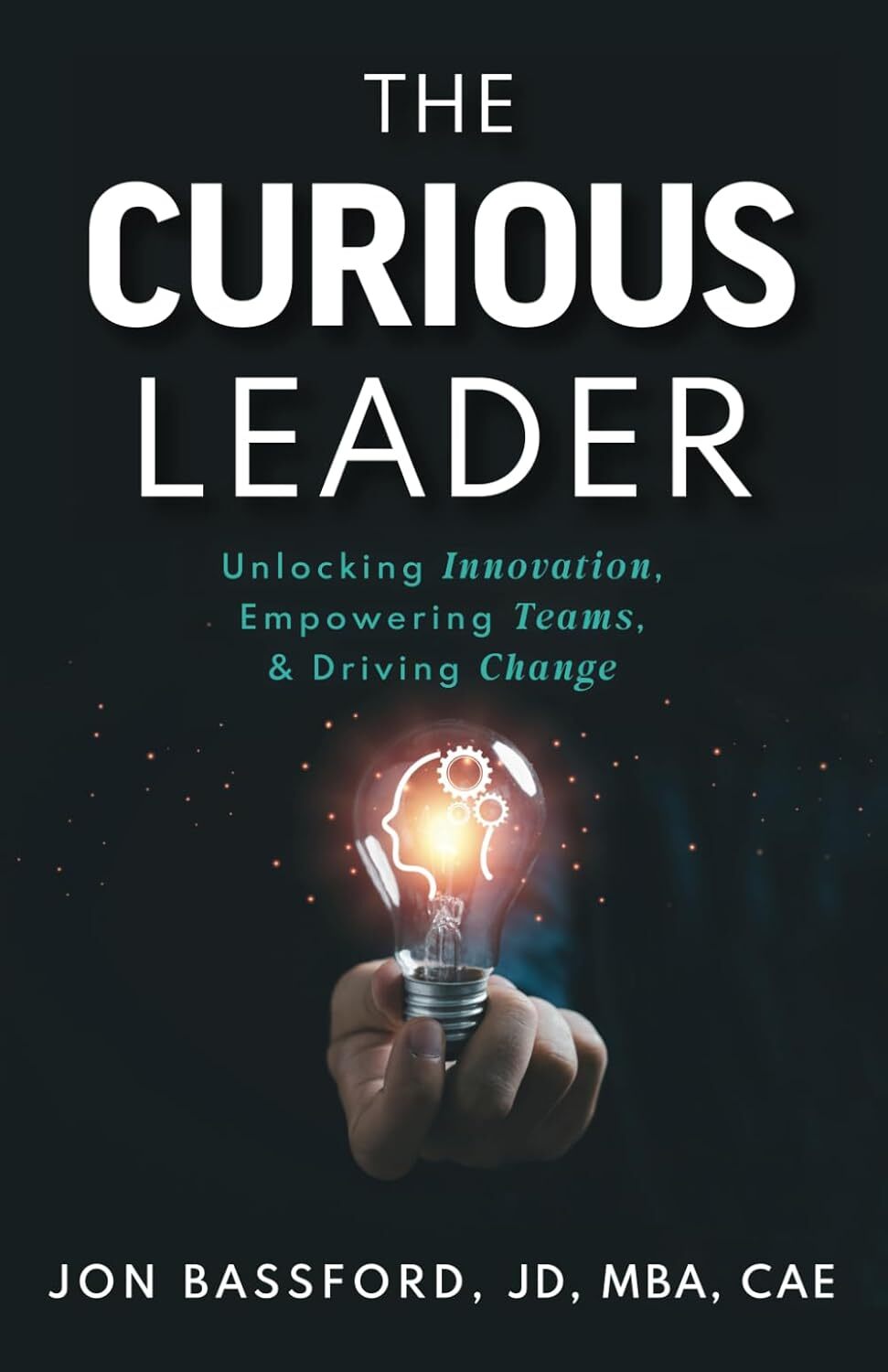 Book titled: The Curious Leader