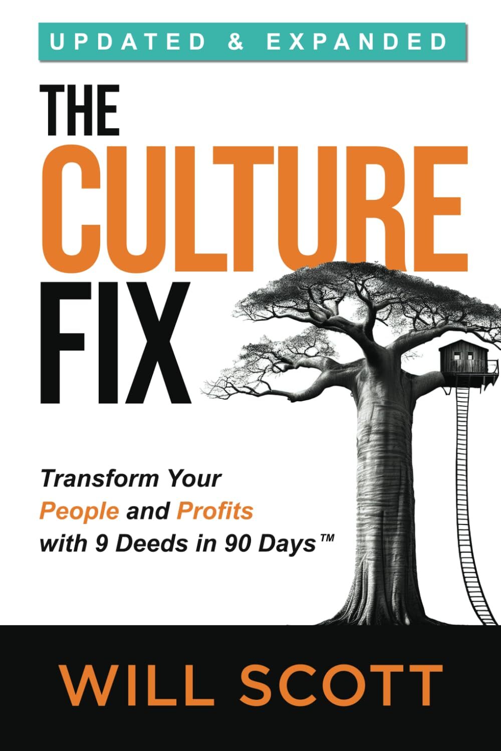 Book titled: The Culture Fix